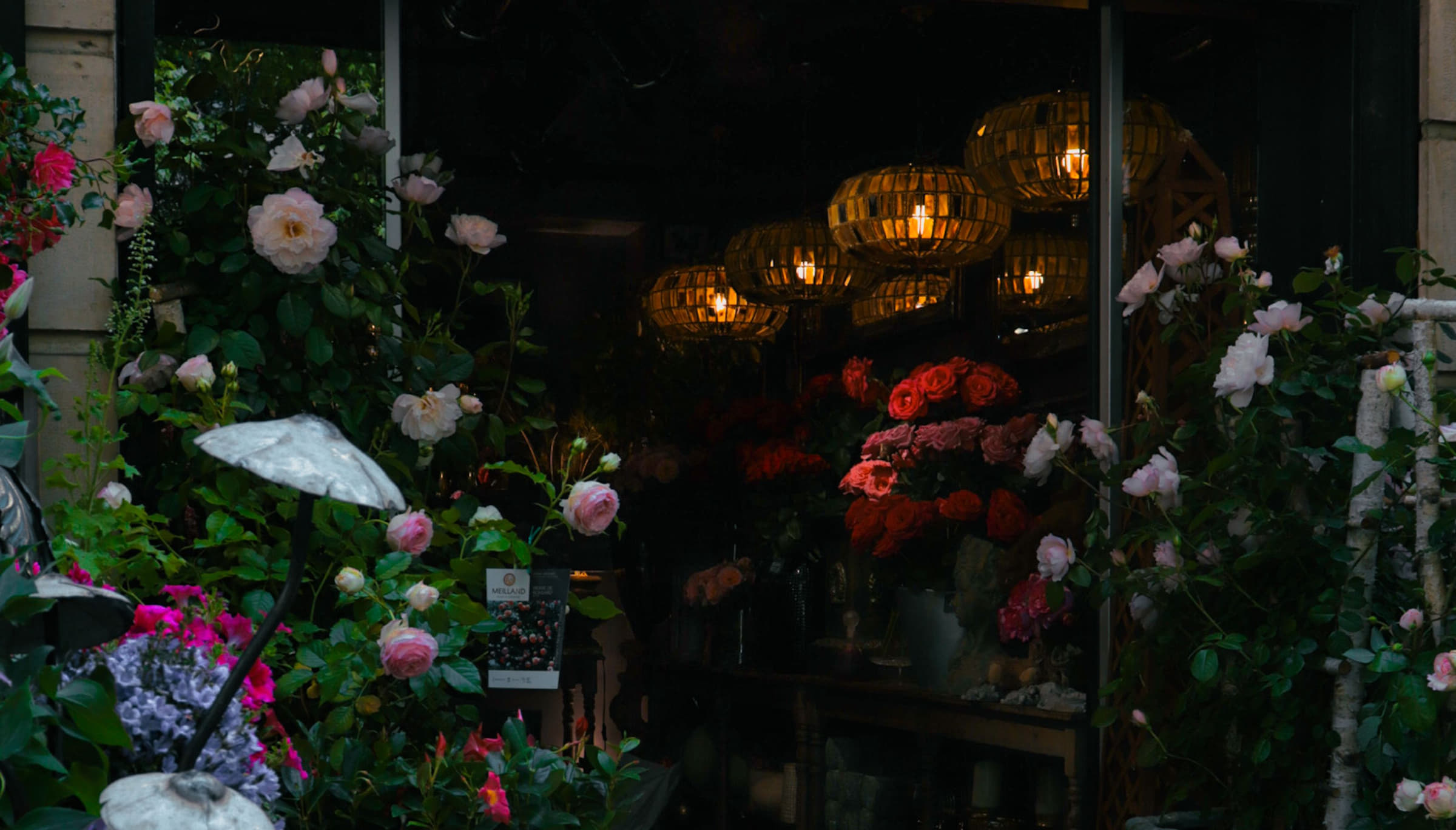 Offener Blumenladen am Abend: Rosen bis auf den Gehsteig, warm leuchtende Lampen im Inneren